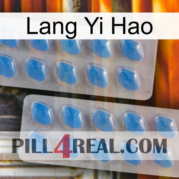 Lang Yi Hao 23.jpg